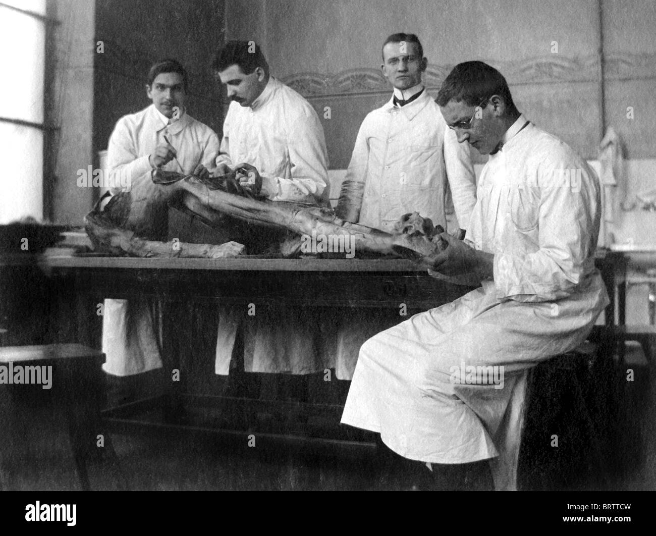 Anatomie-Unterricht, Geschichtsbild, ca. 1929 Stockfoto