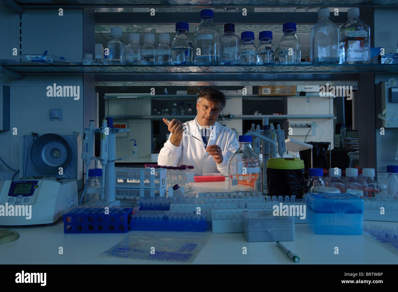 Wissenschaftler arbeiten im Labor Stockfoto