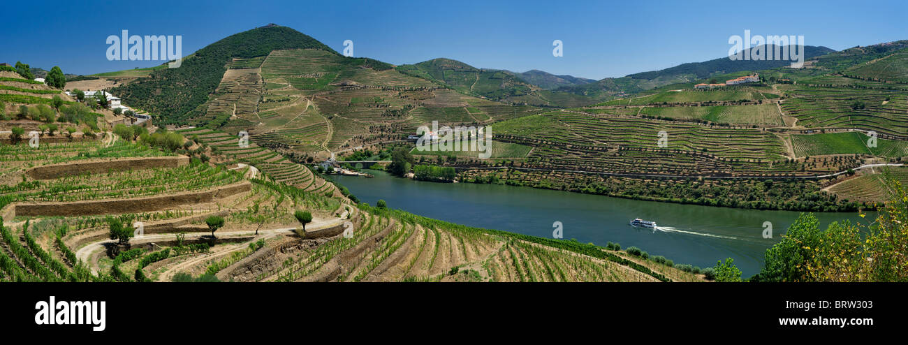 Portugal, Alto Douro, Douro-Tal, in der Nähe von Pinhao Stockfoto