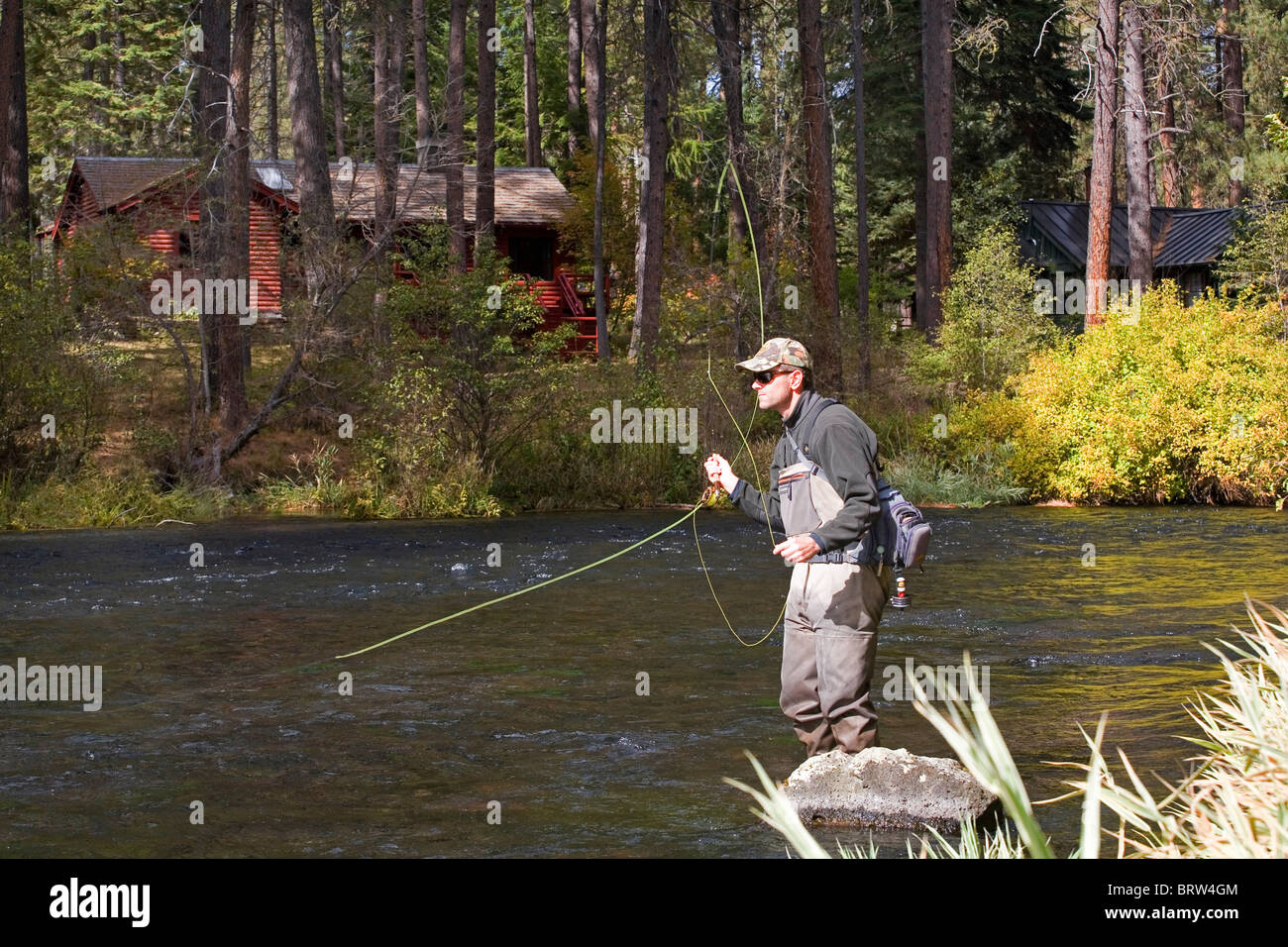 Ein Fliegenfischer wirft für Regenbogenforelle im Metolius Fluss in Oregon Cascade Mountains Stockfoto