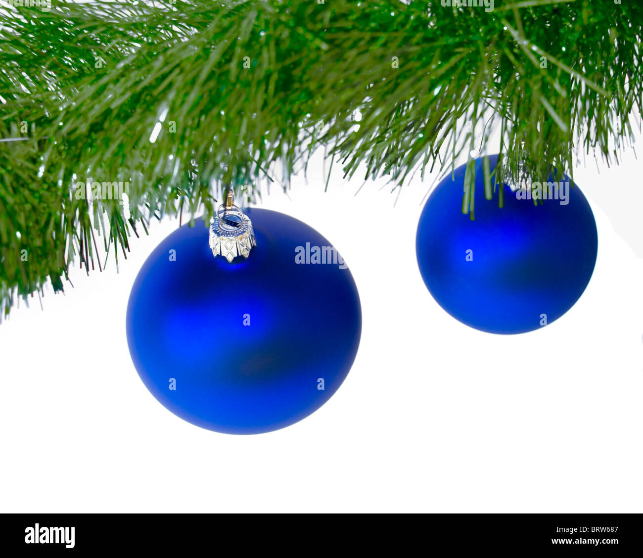 Zwei blaue Weihnachtskugel hängen an w grünen Weihnachtsbaum Zweig, vor einem weißen Hintergrund Stockfoto