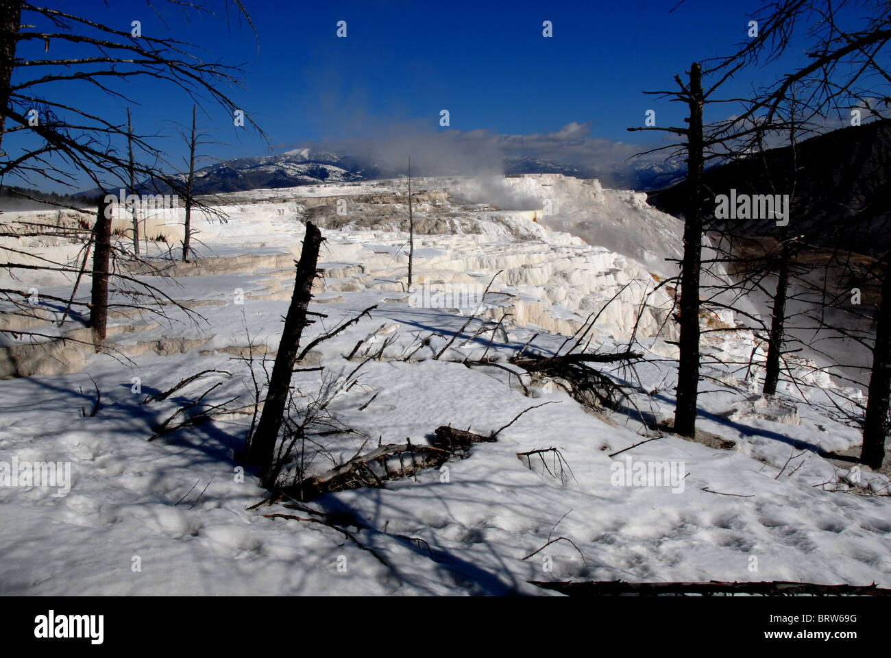 Mammoth Hot Springs, Yellowstone National Park, Montana Stockfoto