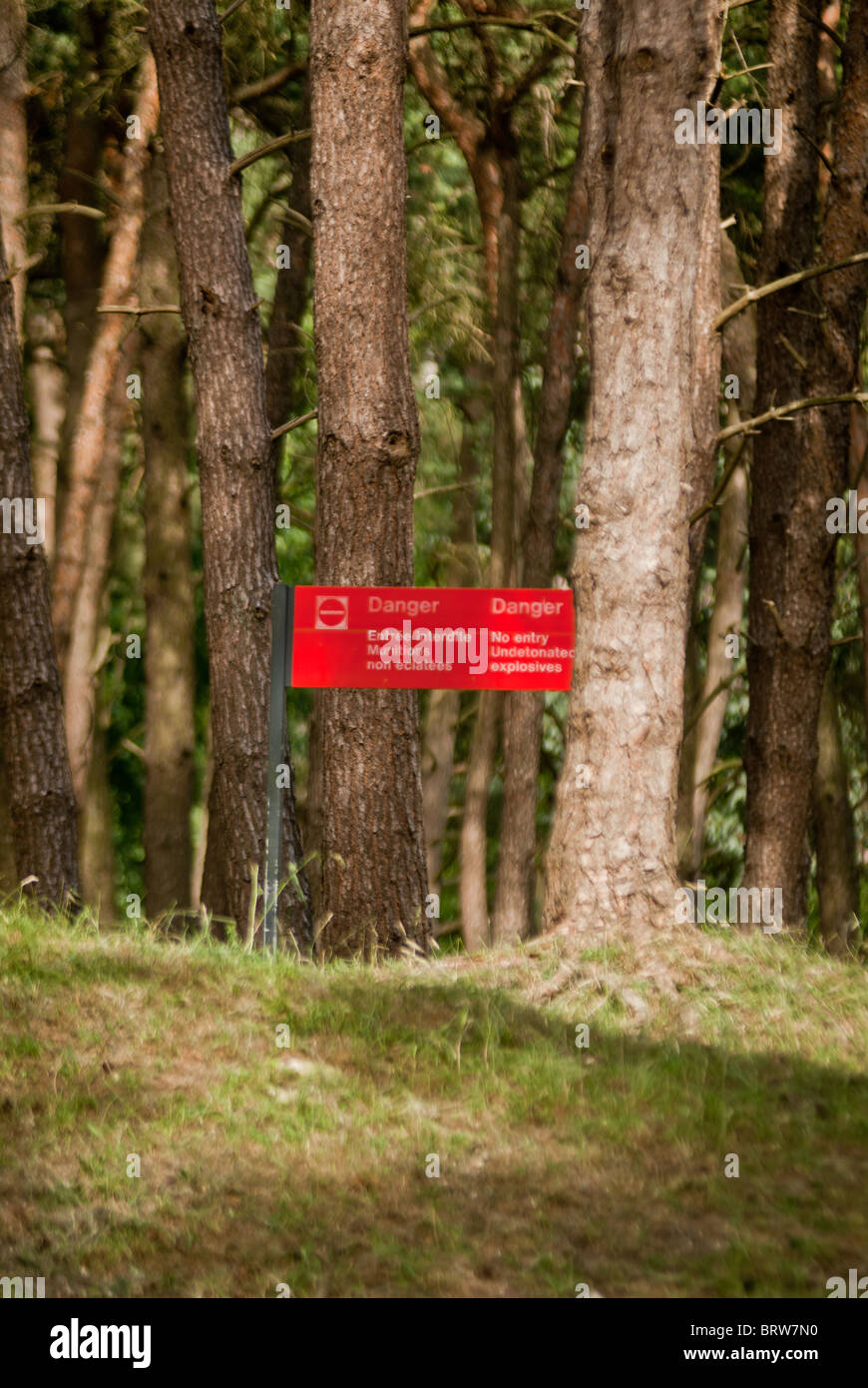 Vimy Schlachtfeld mit Blindgängern Stockfoto