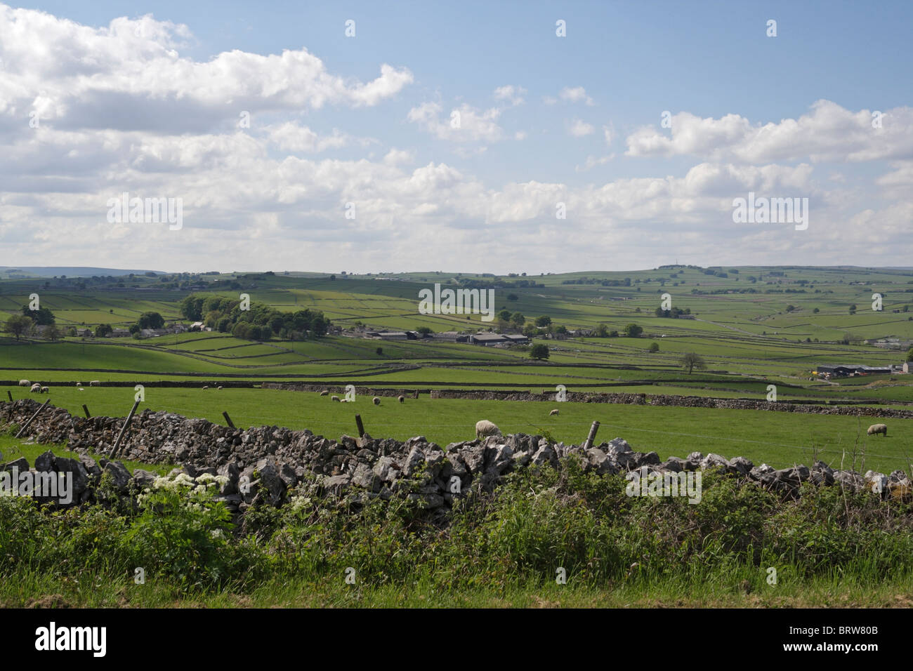 Blick auf den Peak District, Kalksteinlandschaft und Schafweide. In der Nähe des Dorfes Wardlow Derbyshire England, englisches Farmland, britische Landschaftsfelder Stockfoto