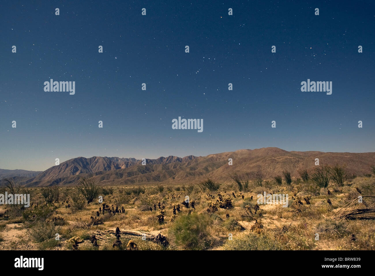 Klaren Nachthimmel im Anza Borrego Desert State Park, Kalifornien. Stockfoto