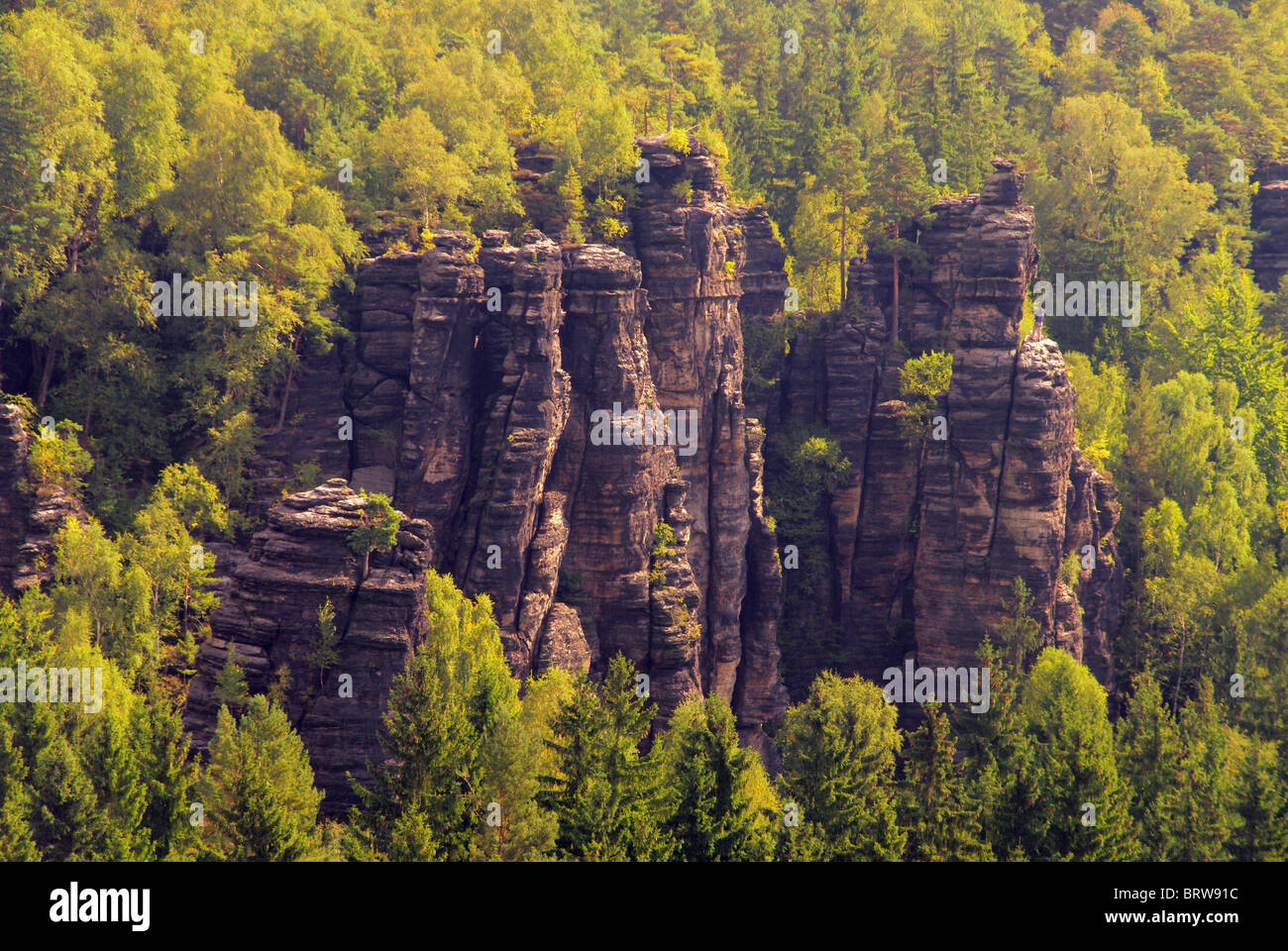 Bielatal - Biela Tal 34 Stockfoto