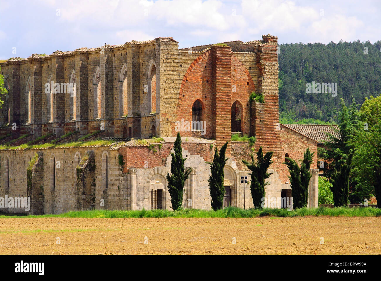 San Galgano 01 Stockfoto