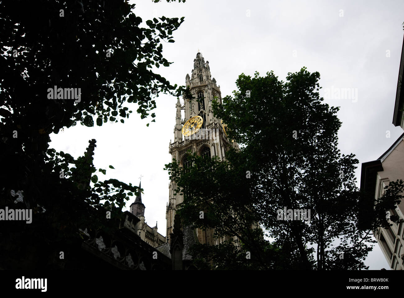 Kathedrale von Antwerpen, der Kathedrale unserer lieben Frau Stockfoto