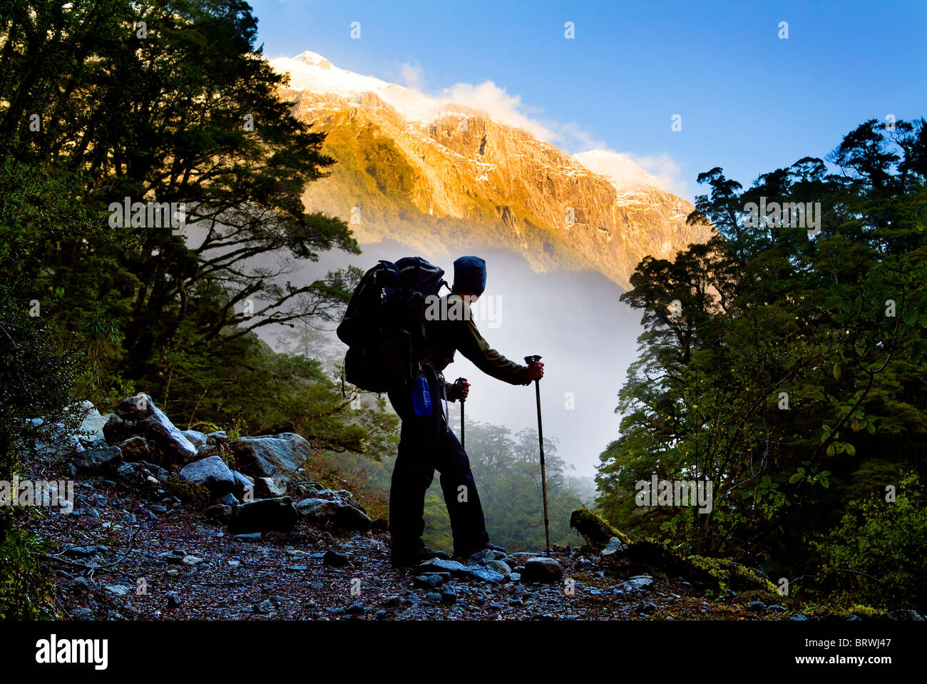 Ein Wanderer hält für eine Rast an einer Lichtung beim Aufstieg in die Berge Stockfoto
