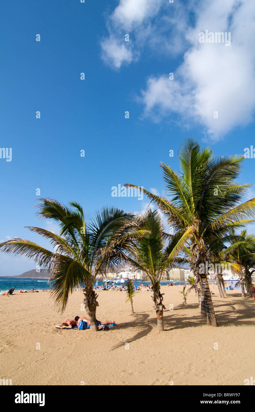 Las Canteras Strand in Las Palmas, Gran Canaria, Kanarische Inseln, Spanien Stockfoto