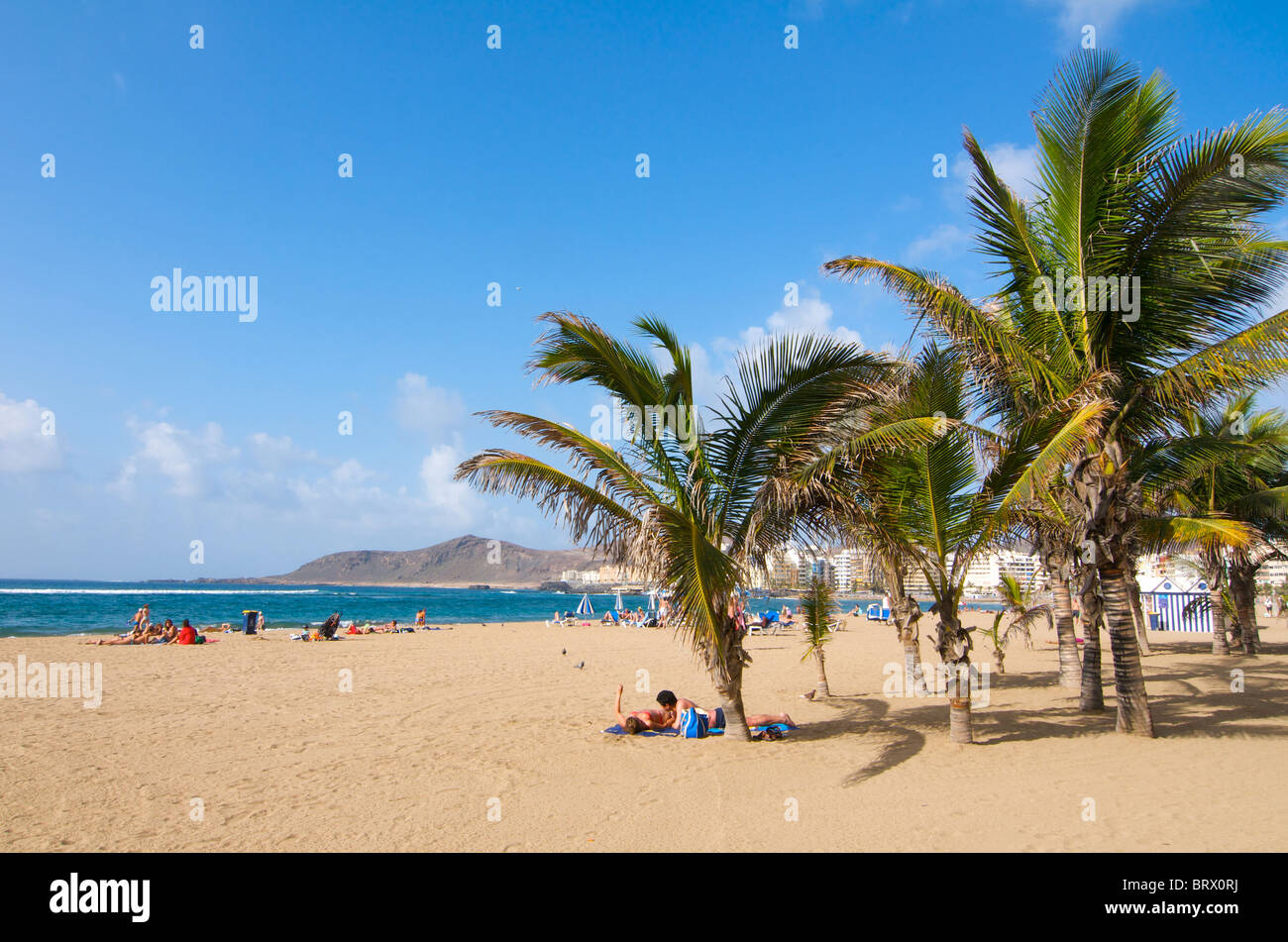 Las Canteras Strand in Las Palmas, Gran Canaria, Kanarische Inseln, Spanien Stockfoto
