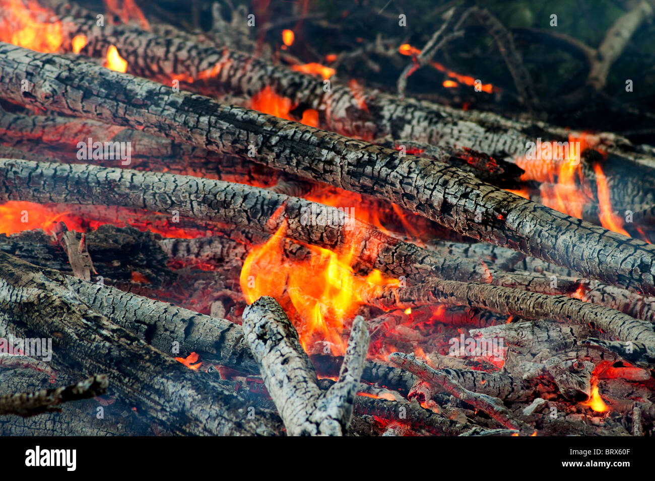 Nahaufnahme der Äste in ein großes Outdoor-Feuer brennt Stockfoto