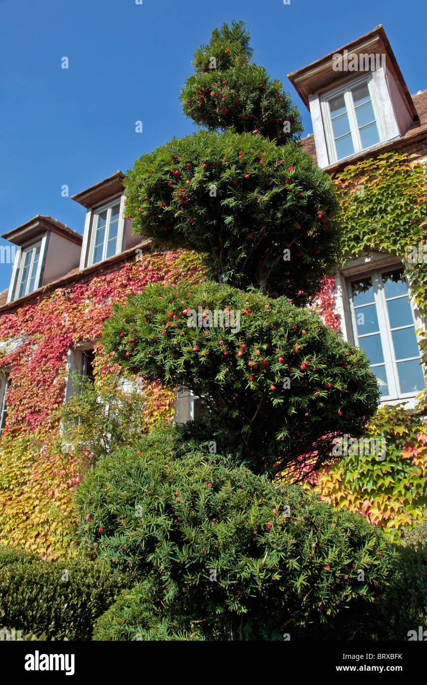 MITTELALTERLICHE GÄRTEN IN BOISRICHEUX (DEM EHEMALIGEN