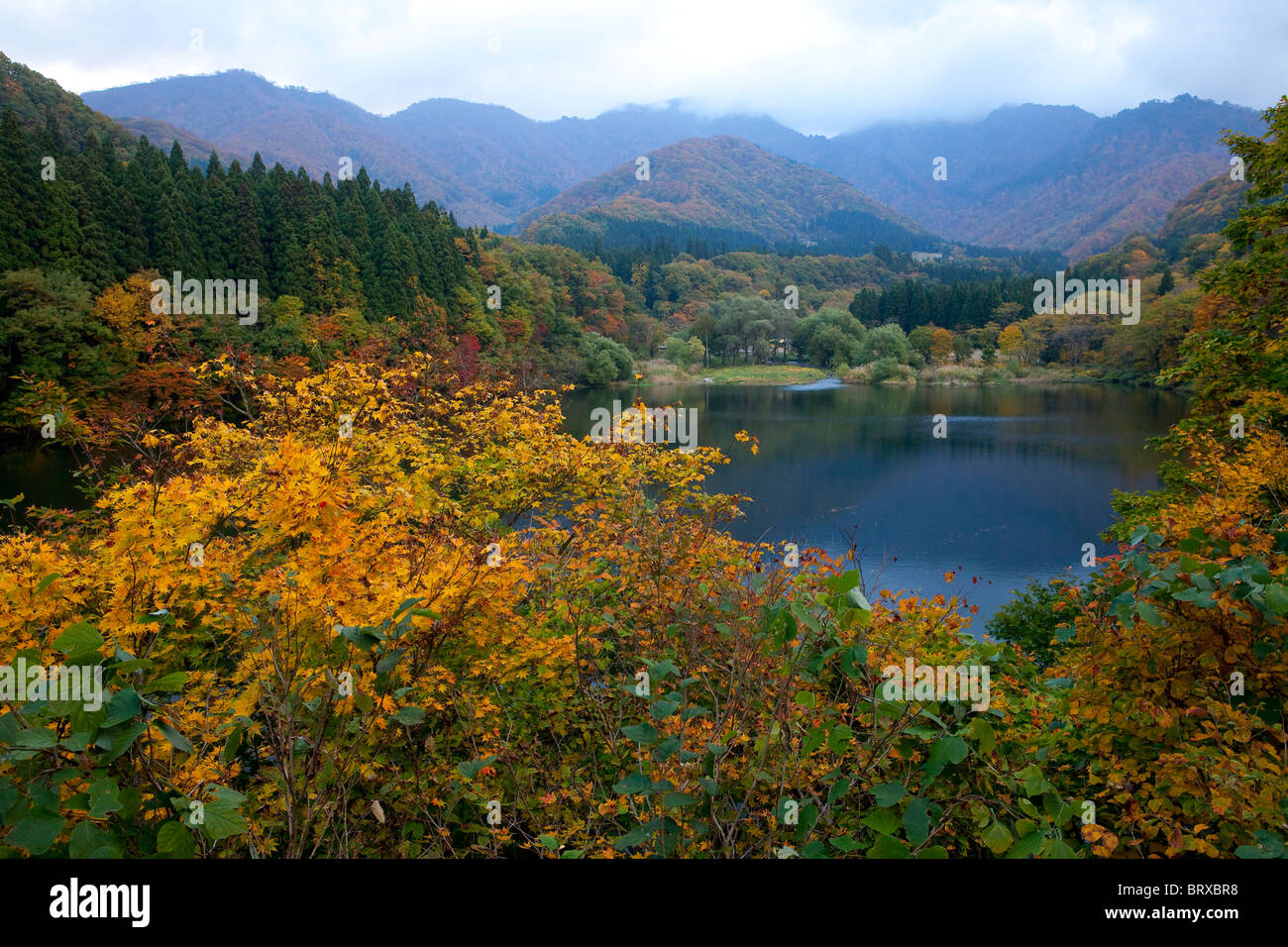 See Daigenta im Herbst Stockfoto