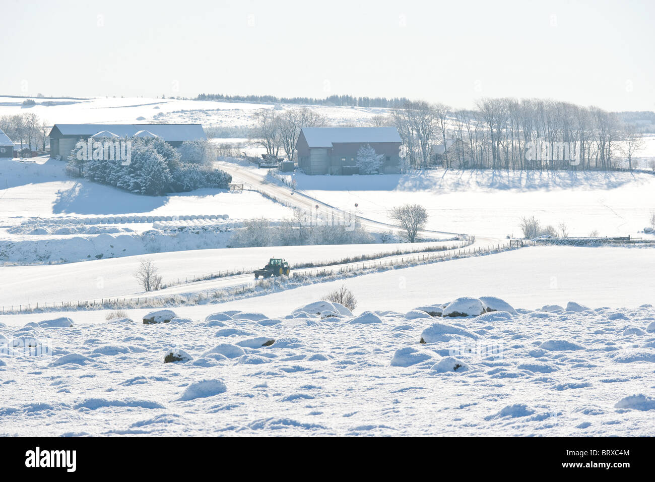 Ackerland im Winterschnee. Bauernhof. Zeit, Rogaland, Norwegen Stockfoto