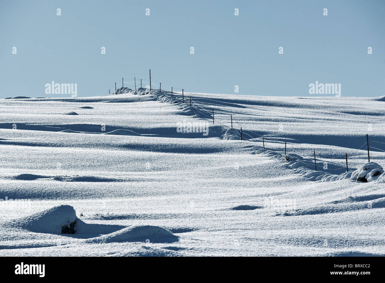 Schnee und Zaun. Winter, Top. Zeit, Rogaland, Norwegen Stockfoto