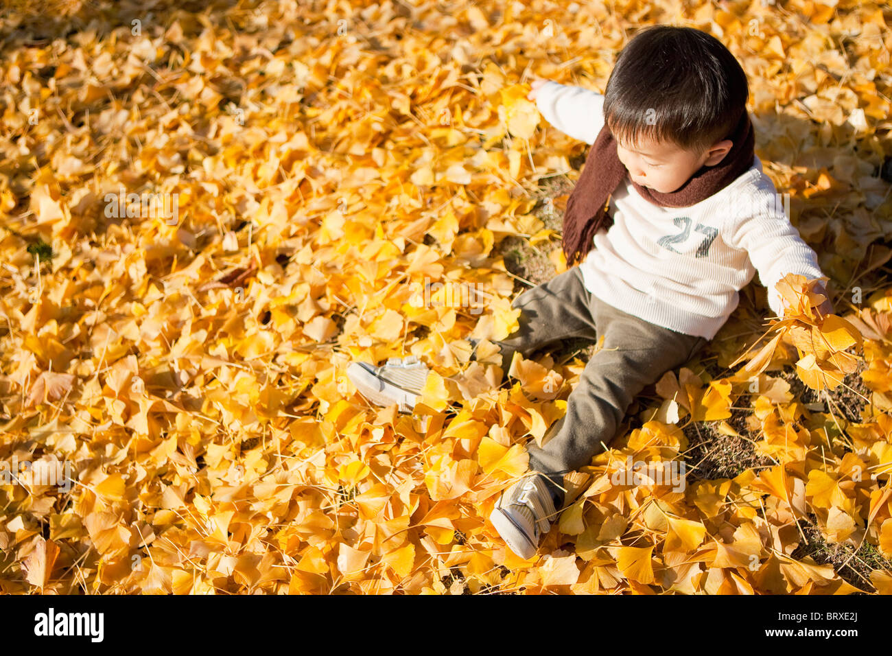 Kleiner Junge sitzt auf Gefallene Herbstliche Blätter Stockfoto