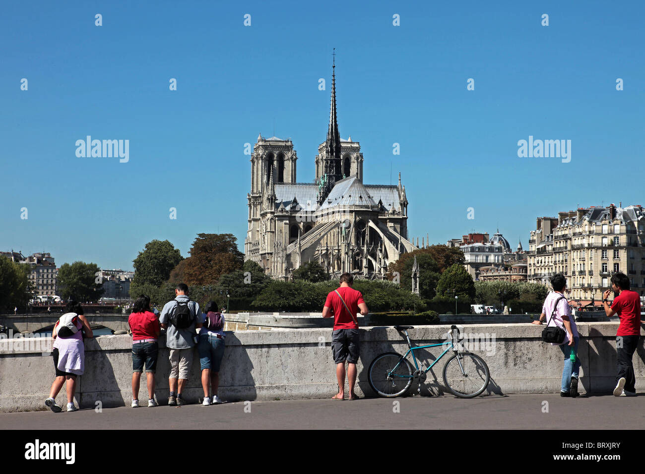 TOURISTEN BEWUNDERN DIE KATHEDRALE NOTRE DAME AUS DEM LA TOURNELLE BRÜCKE, 4. ARRONDISSEMENT IN PARIS, FRANKREICH Stockfoto
