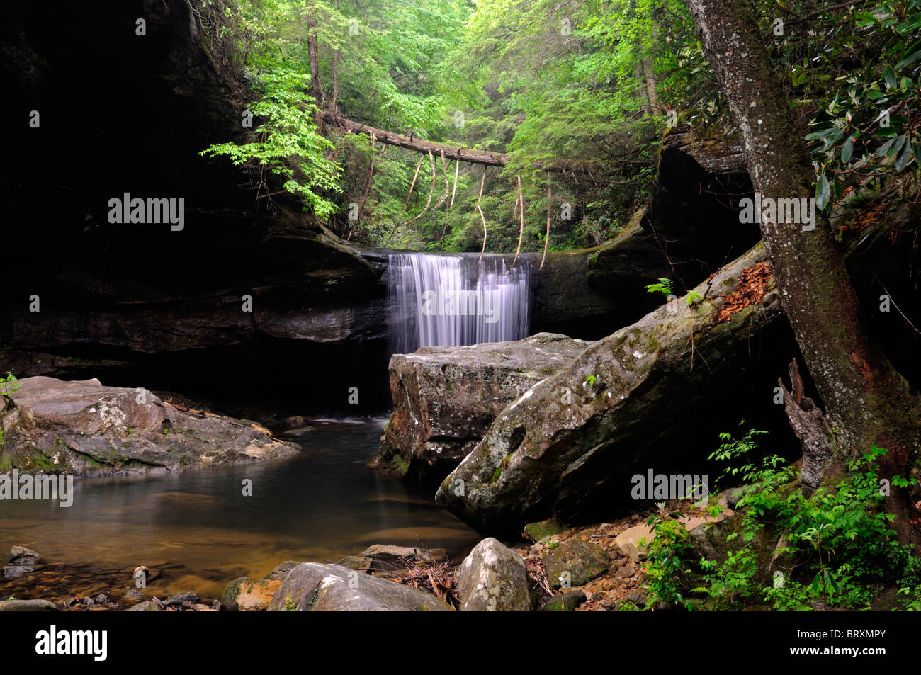 Hund Schlachten Falls, die Wasserfall Cumberland Falls State Park Kentucky Preisunterbietung Überhang Erosion Fluss Creek unterbieten, Erodieren Stockfoto