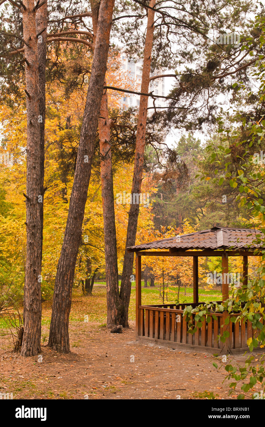 Holzpavillon und verschiedenen Bäumen im Park im Herbst vertikale Stockfoto