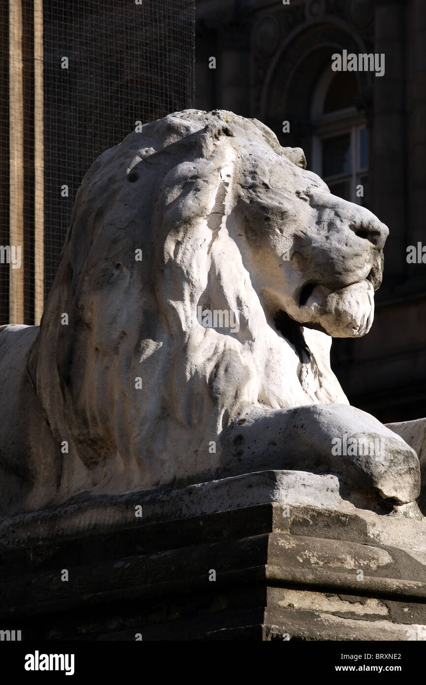 Leeds Town Hall Lion Yorkshire Vereinigtes Königreich UK entworfen von Cuthbert Brodick Stockfoto