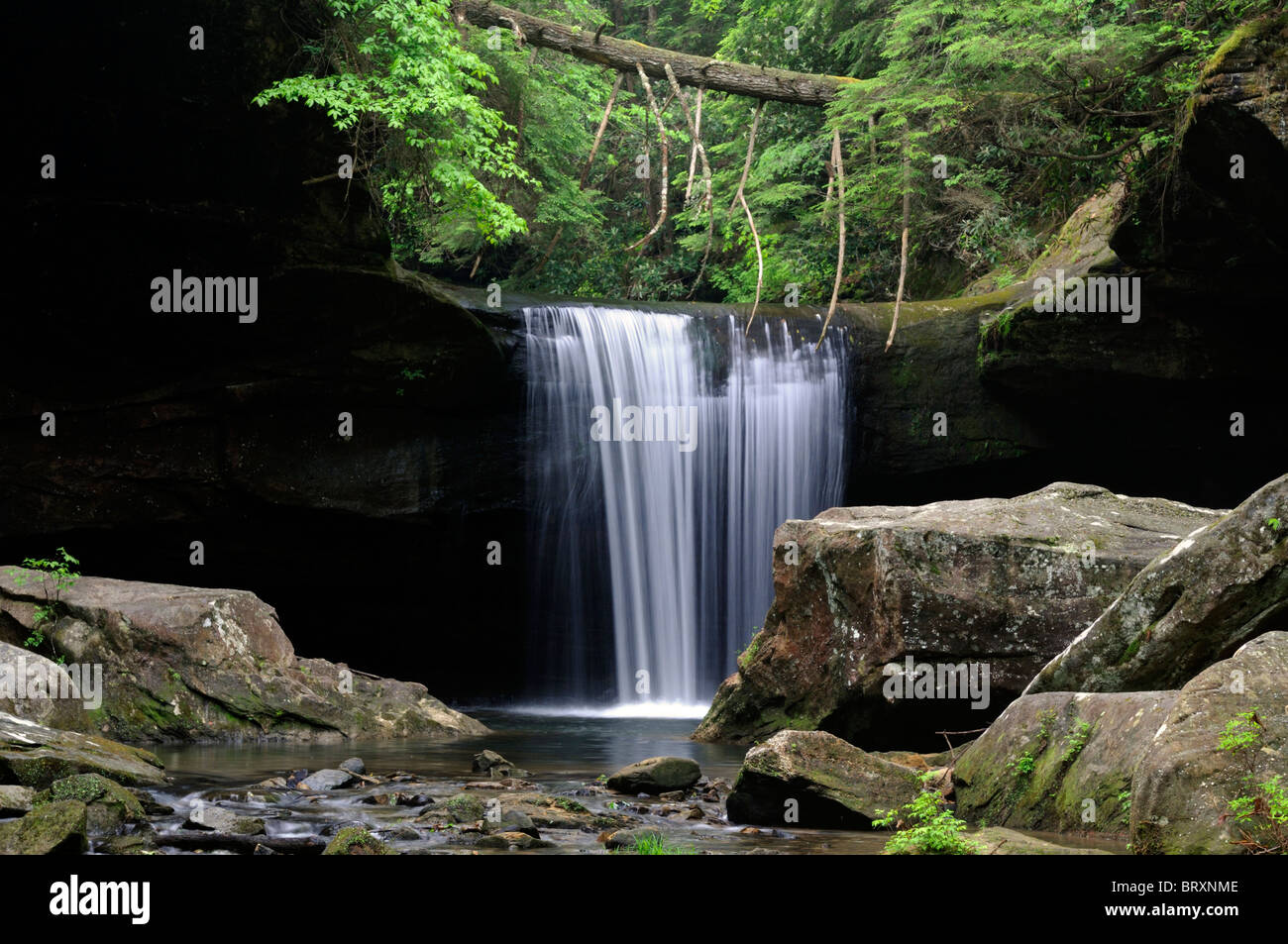 Hund Schlachten Falls, die Wasserfall Cumberland Falls State Park Kentucky Preisunterbietung Überhang Erosion Fluss Creek unterbieten, Erodieren Stockfoto