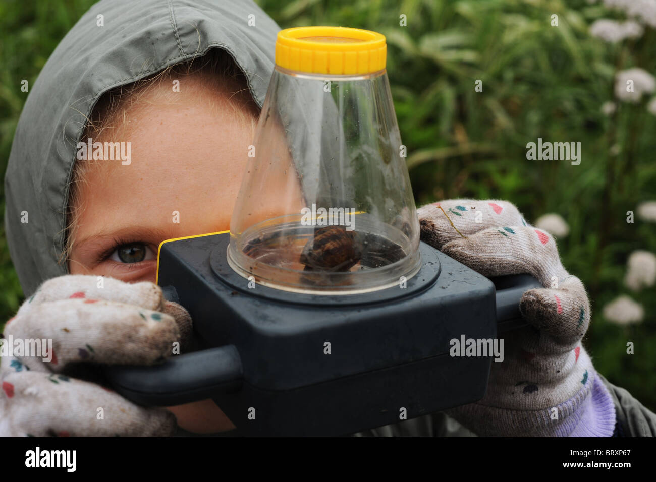 Ein Mädchen-Studien eine Schnecke hautnah durch ein Mikroskop während eines Besuchs in lokalen Kleingärten, Bradford Stockfoto