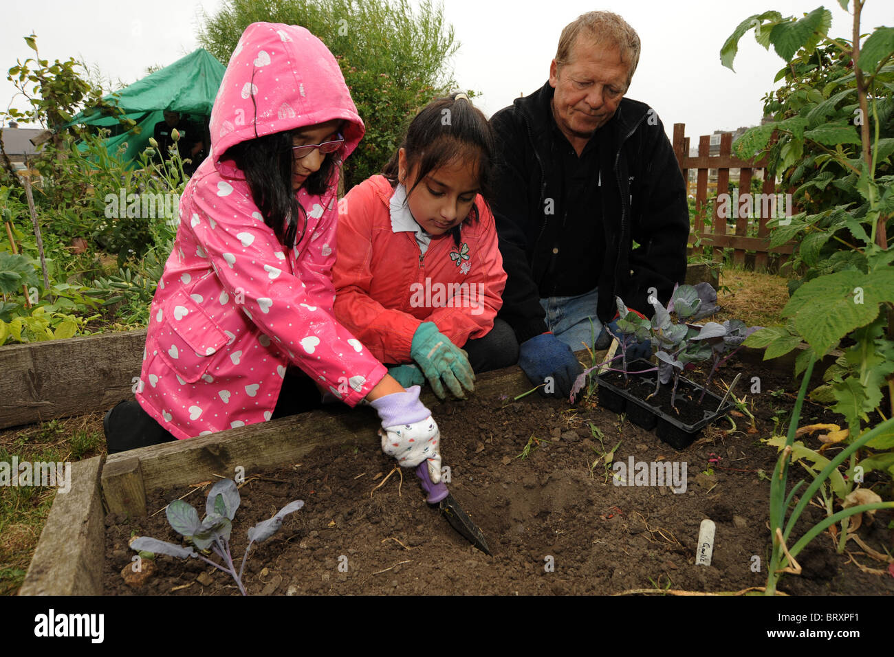 Kinder besuchen eine lokale Innenstadt Zuteilung erfahren Gartenbau und der Umwelt, Bradford UK Stockfoto