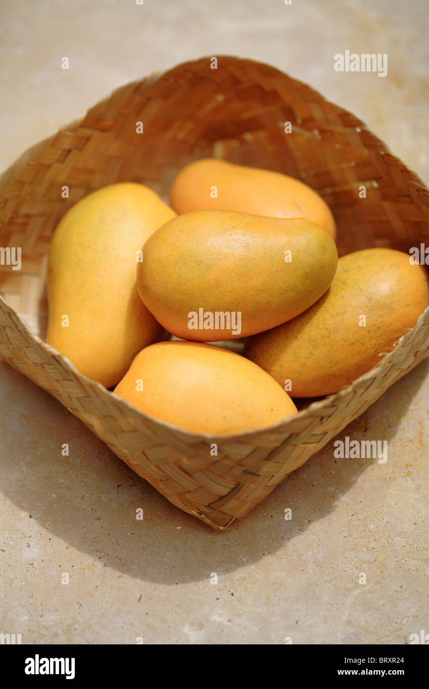 Gelben Mangos in Korb Stockfoto