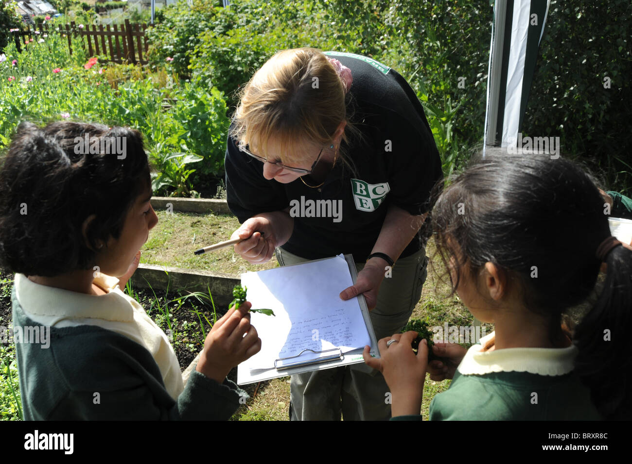 Kinder erfahren Sie mehr über die Umwelt und die Pflanzen durch den Besuch der örtlichen Schule Kleingärten Stockfoto