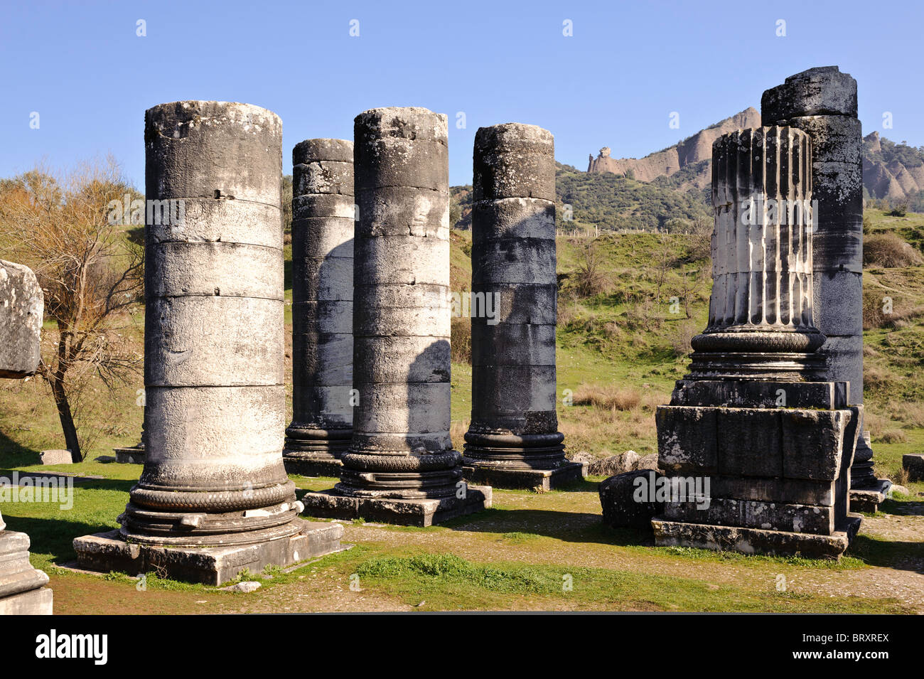 Die antike Stadt Sardes in Manisa, Türkei. Gezeigt werden die Reste der Spalten. Stockfoto