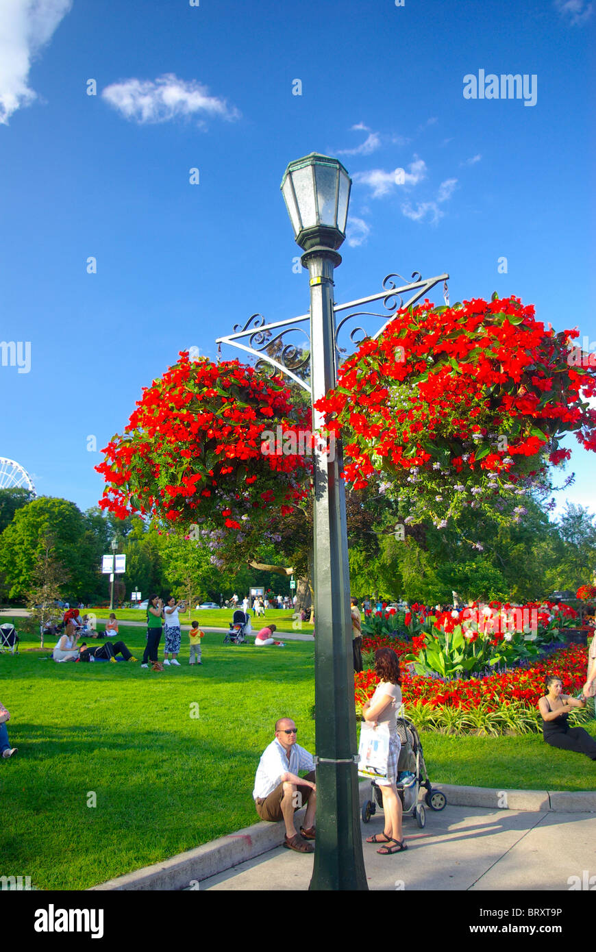 Niagara Falls Kanada. Urlaub paar in der Nähe von Blume dekoriert Lampe Pfosten mit grünem Rasen und Picknicker im Hintergrund Stockfoto