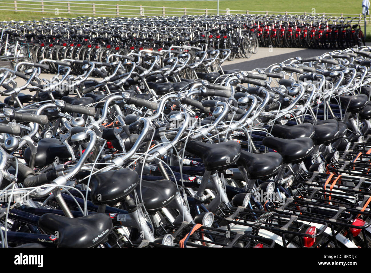 Fahrradverleih in Ameland, Niederlande Stockfoto