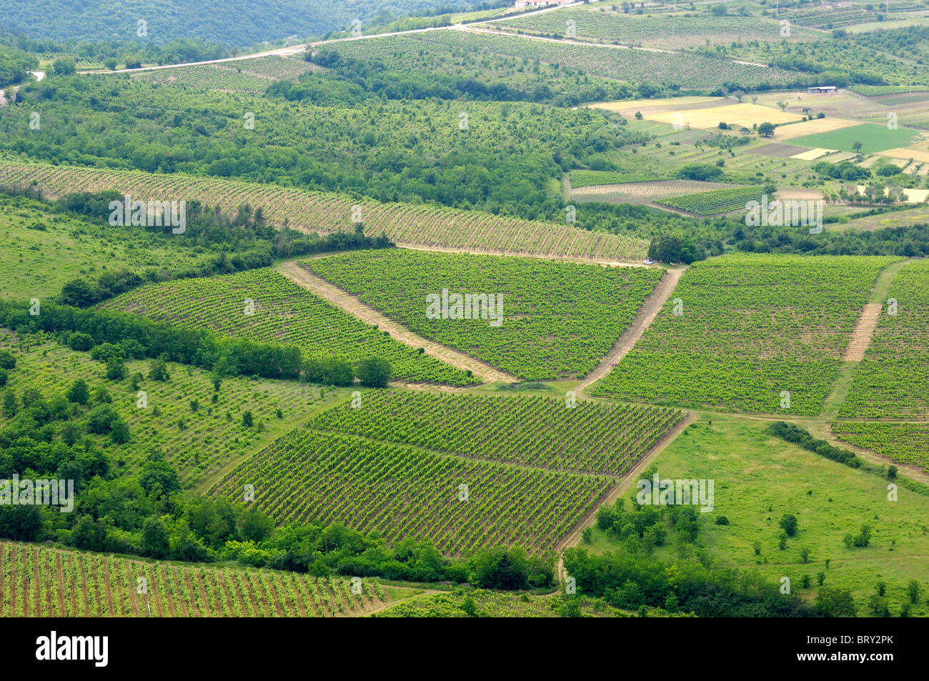 Agrarlandschaft Stockfoto