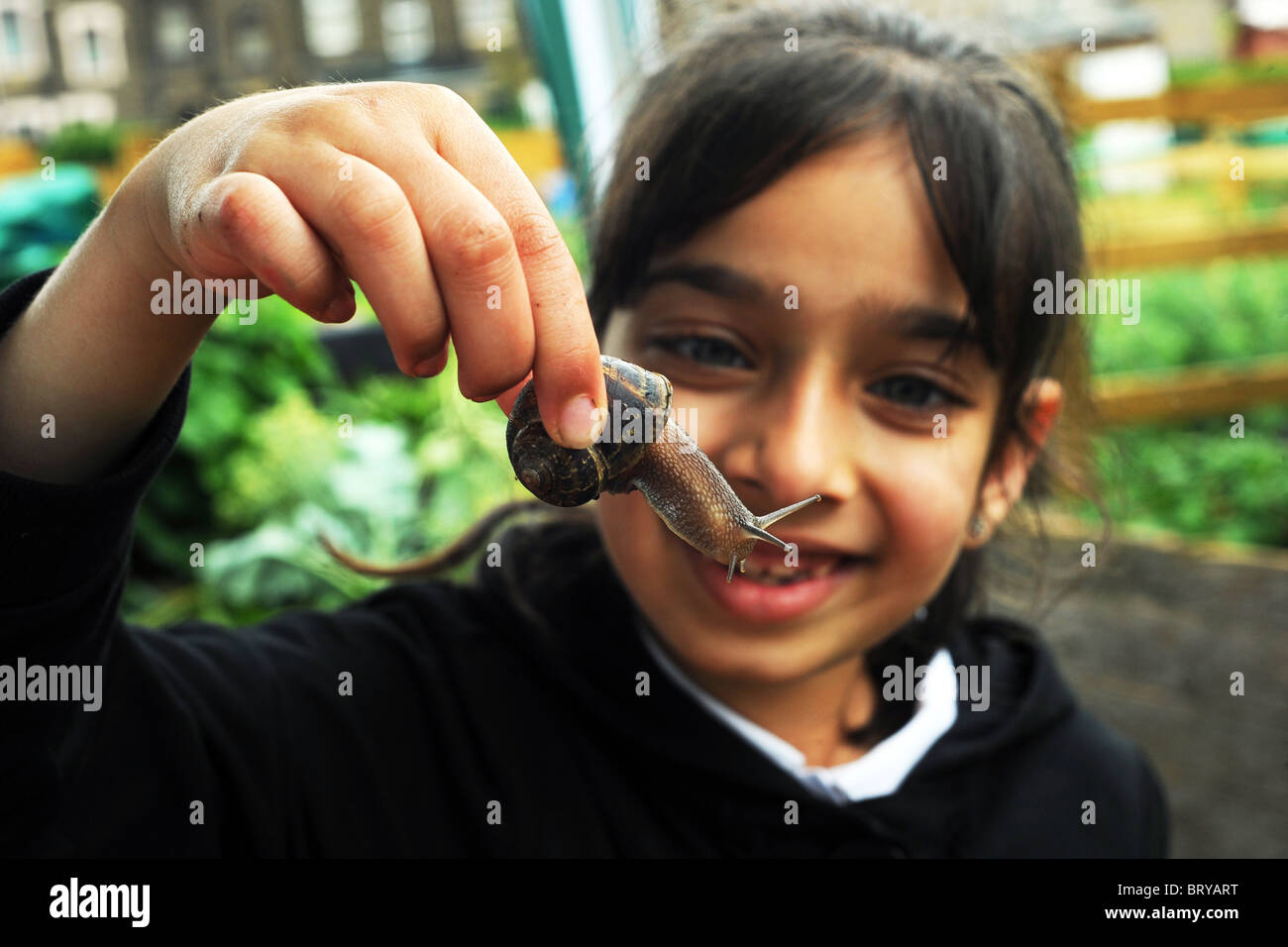 Ein Kind studiert eine Garten Schnecke anheben, als Teil der Gartenarbeit Erfahrung Besuch einer innerstädtischen Zuteilung, Bradford Stockfoto