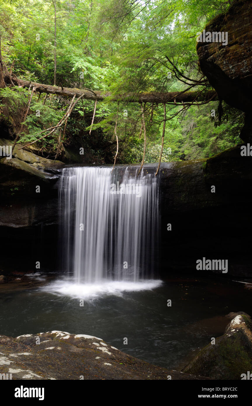 Hund Schlachten Falls, die Wasserfall Cumberland Falls State Park Kentucky Preisunterbietung Überhang Erosion Fluss Creek unterbieten, Erodieren Stockfoto