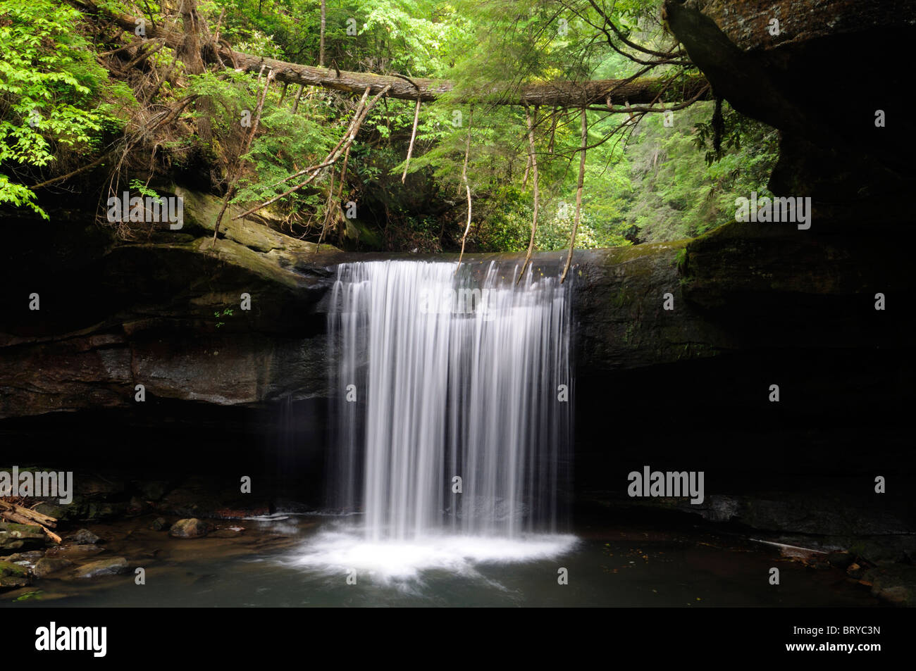 Hund Schlachten Falls, die Wasserfall Cumberland Falls State Park Kentucky Preisunterbietung Überhang Erosion Fluss Creek unterbieten, Erodieren Stockfoto