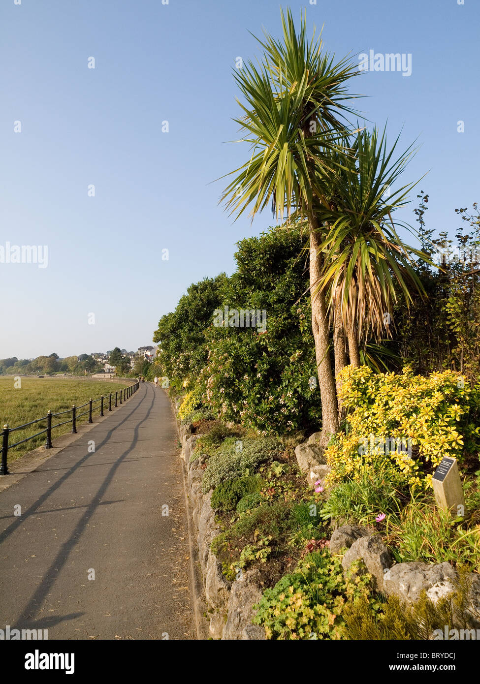 Gärten zur Verfügung gestellt und verwaltet von der bürgerlichen Gesellschaft entlang der Promenade am Grange über Sands Cumbria Stockfoto