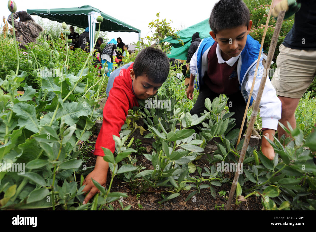 Kinder besuchen eine lokale Innenstadt Zuteilung erfahren Gartenbau und der Umwelt, Bradford UK Stockfoto