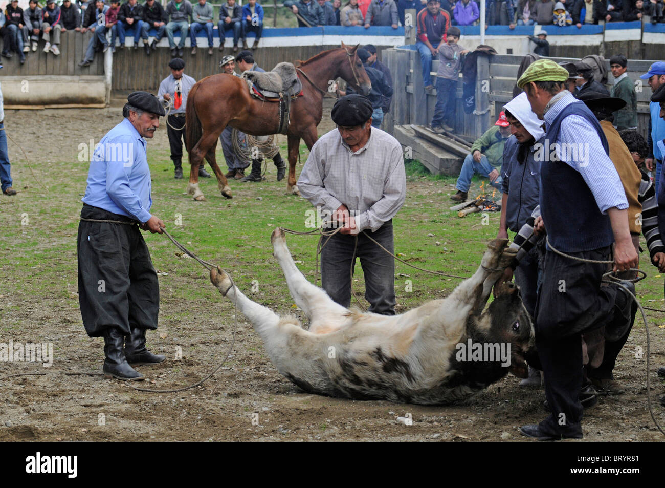 Szenen von Rodeo während der Feier in einer ländlichen Gemeinde südlich von Cochrane in Patagonien, Südchile. Stockfoto