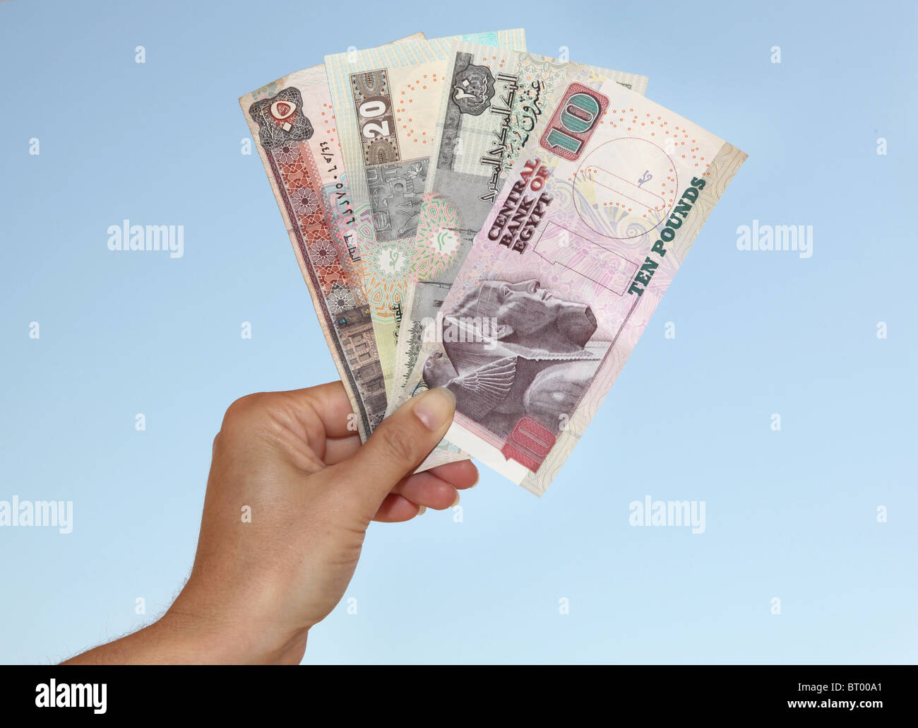 Weibliche Hand hält Ägyptisches Geld (Pfund). Stockfoto