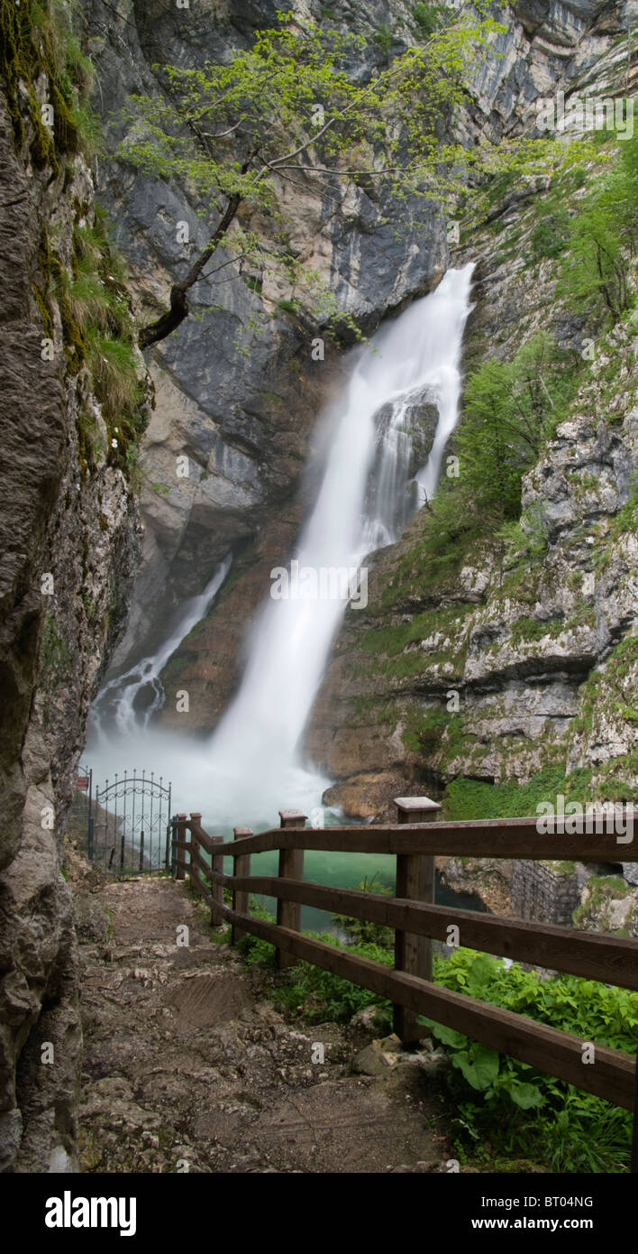 Schlag Savicia Wasserfall Triglav Nationalpark Slowenien Stockfoto