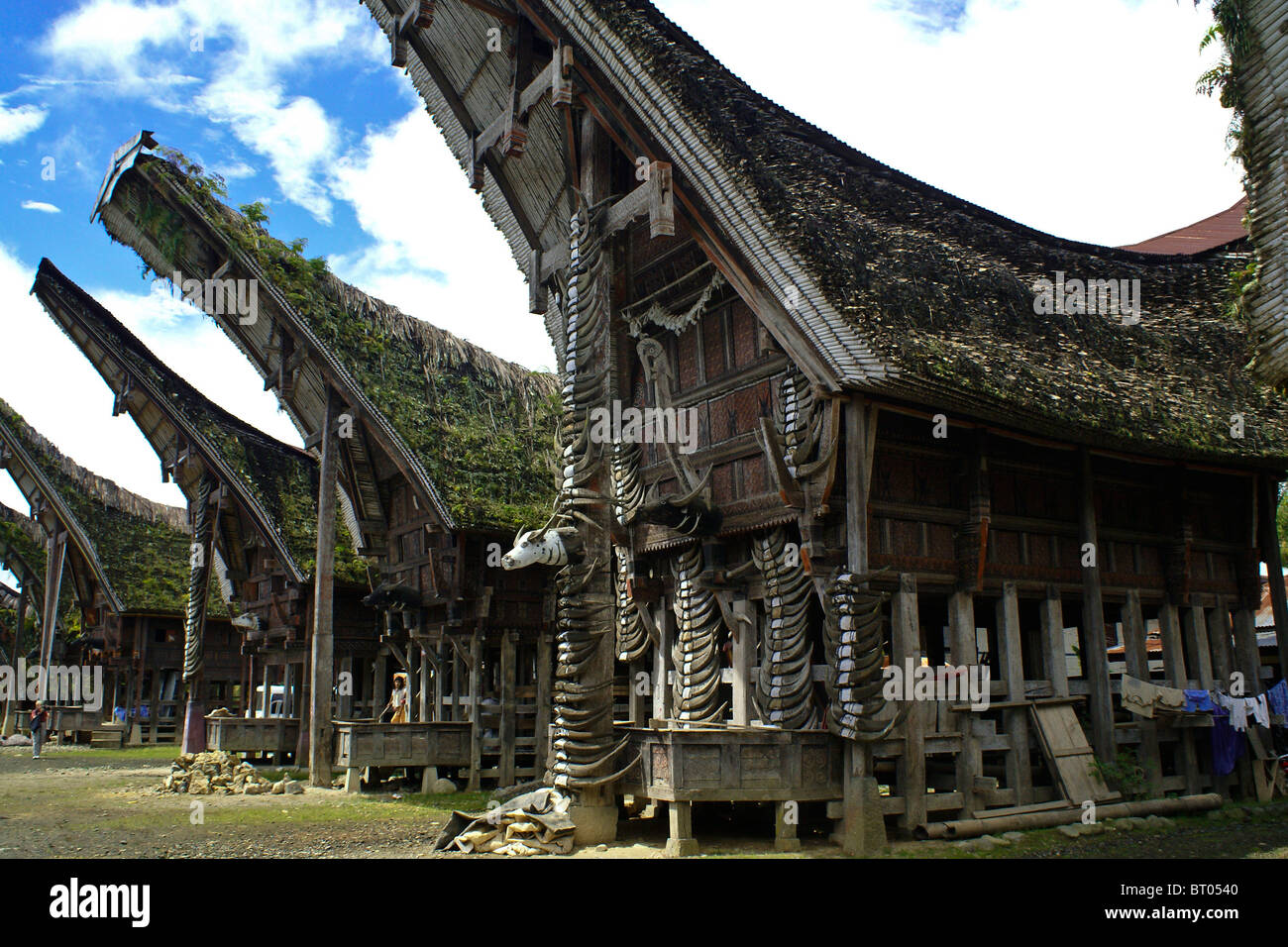 Traditionelle Toraja Häuser, Kete Kesu, Tana Toraja, Süd-Sulawesi, Indonesien Stockfoto