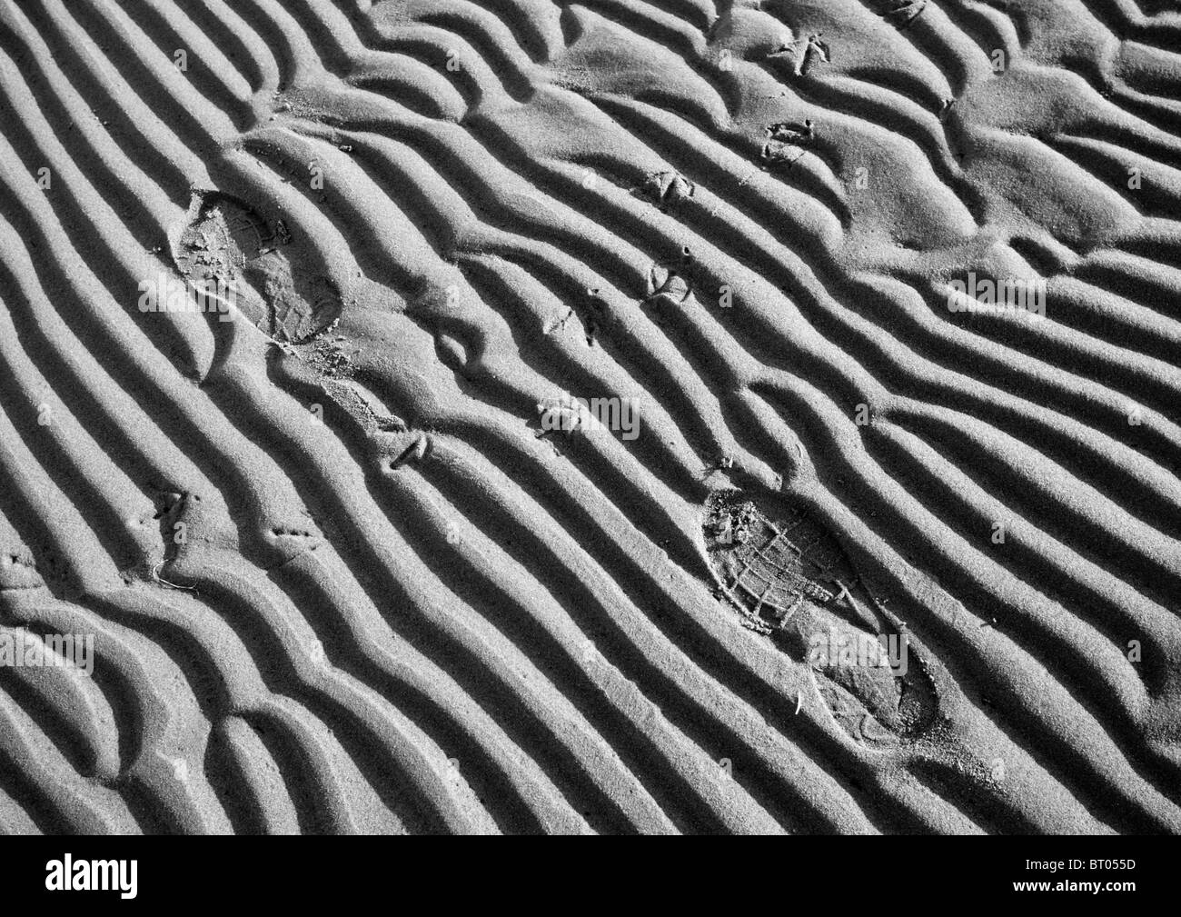 Schuhabdrücke auf weichen Sand am Strand Stockfoto