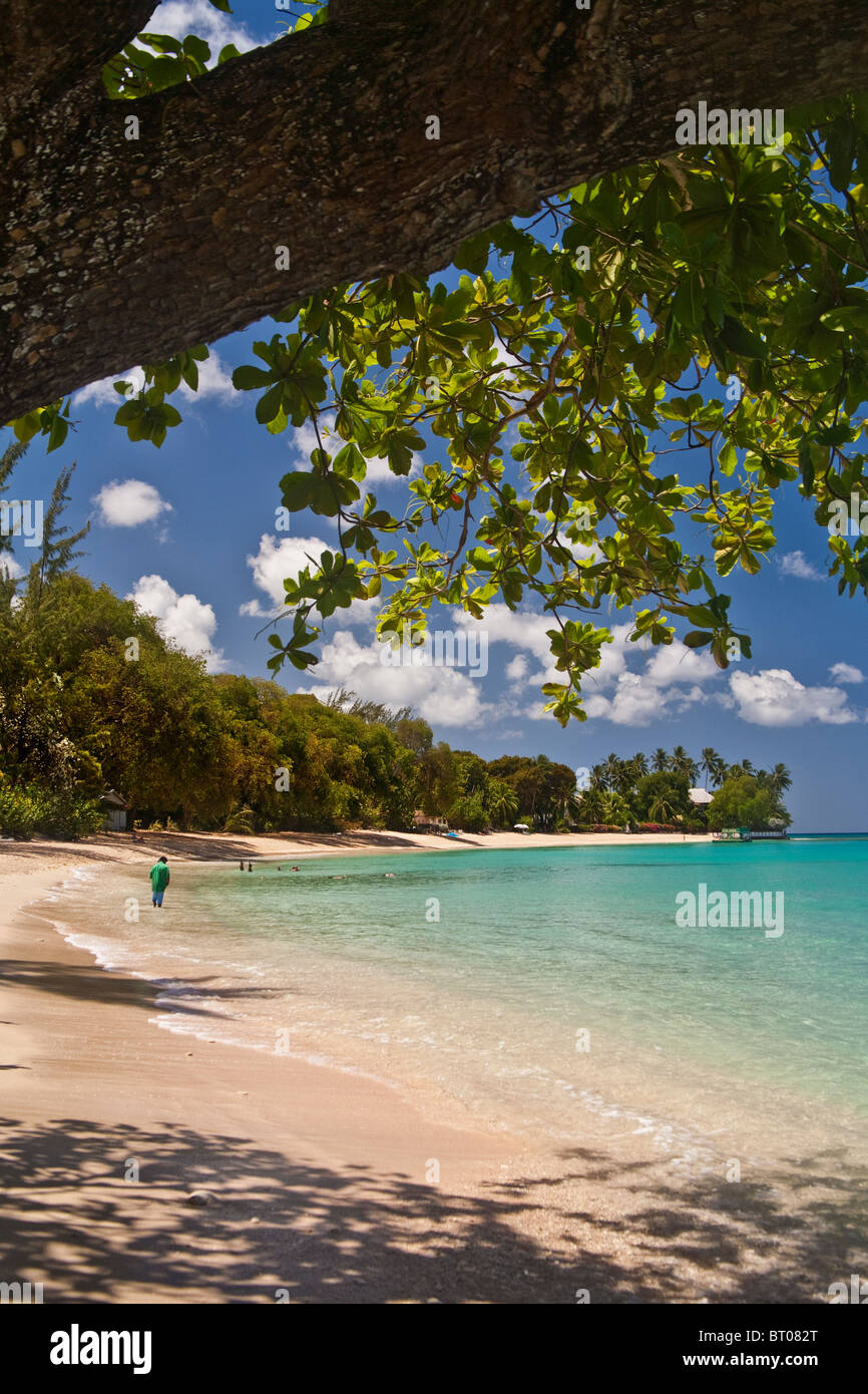 Gibbs Beach, Barbados, West Indies Stockfoto