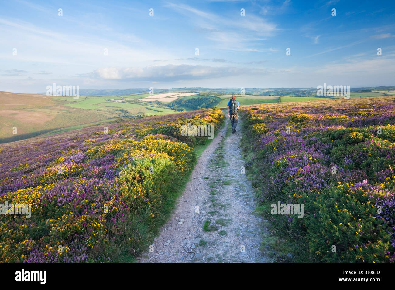 Kaukasische Männer Wanderer (31 Jahre alt) auf dem South West Coast Path auf große Henker. Exmoor National Park. Devon. England. VEREINIGTES KÖNIGREICH. Stockfoto
