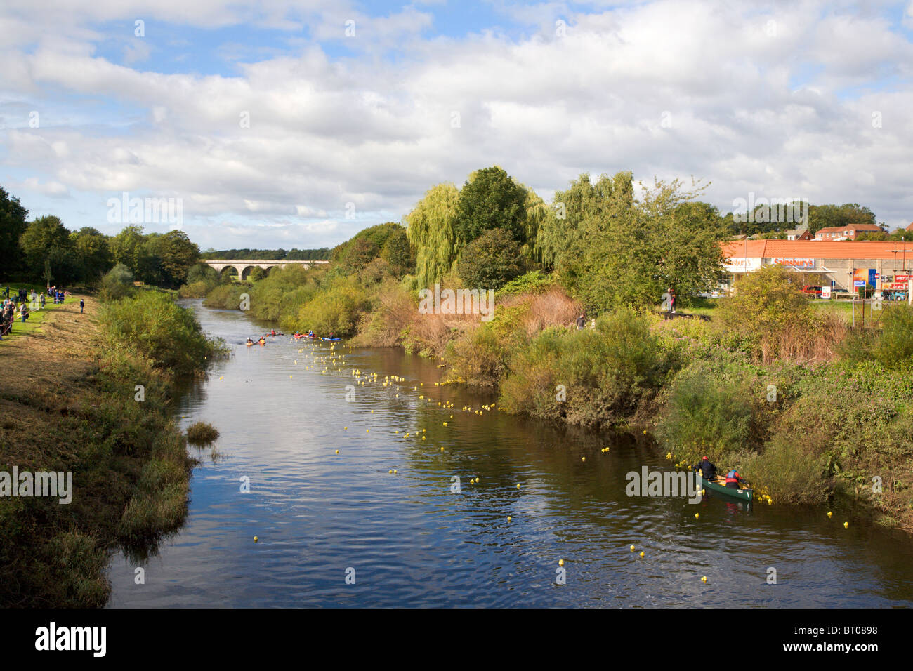 Duck Race 2010 auf the River Wharfe Tadcaster North Yorkshire Deutsch Stockfoto
