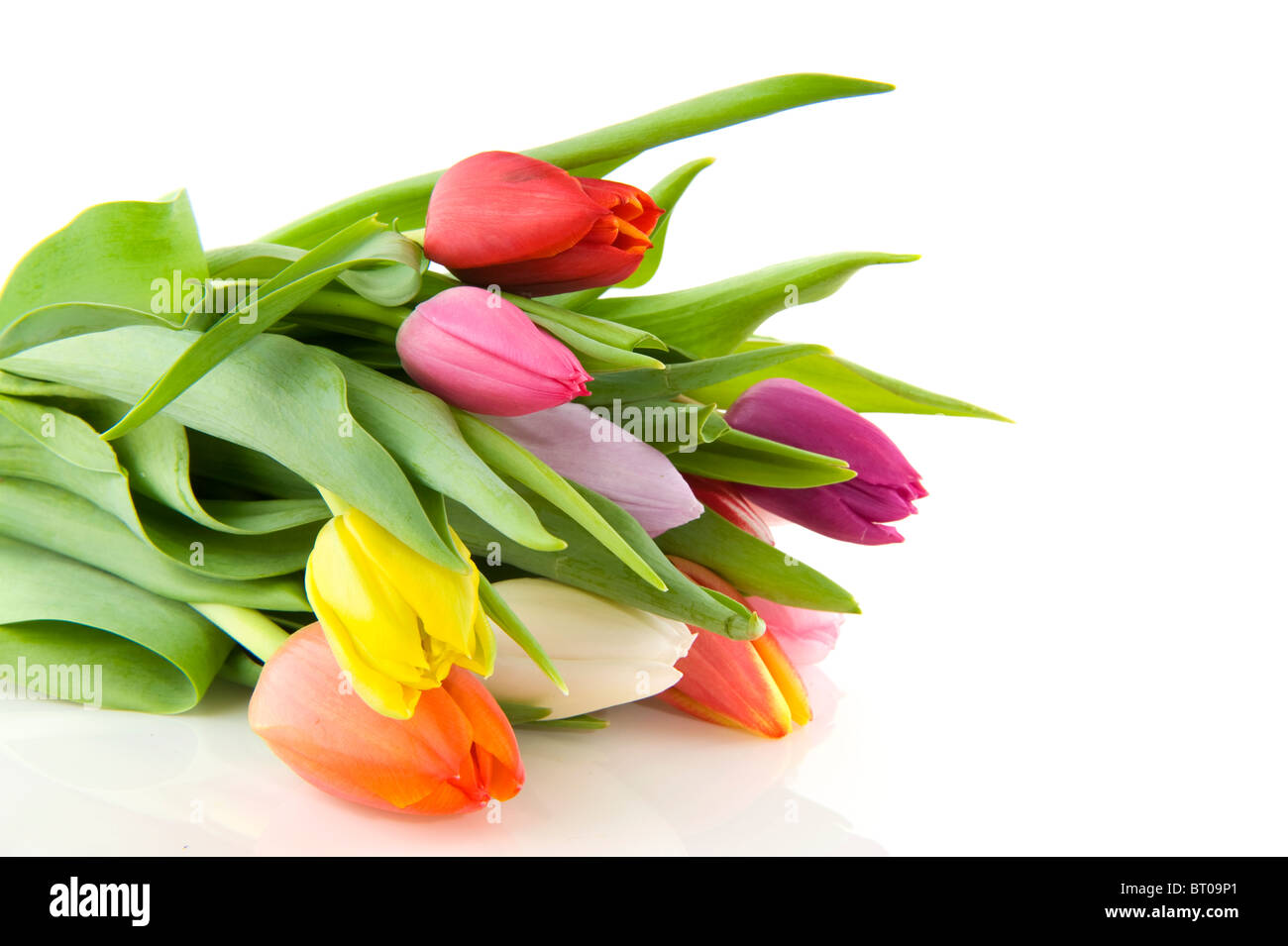 bunter Strauß Tulpen auf weißem Hintergrund Stockfoto