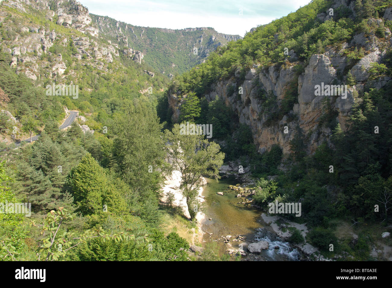 Blick auf das Tal des Flusses Tarn (Gorges du Tarn) zwischen dem Dorf La Malène & Les Vignes - Languedoc-Roussillon - Frankreich Stockfoto