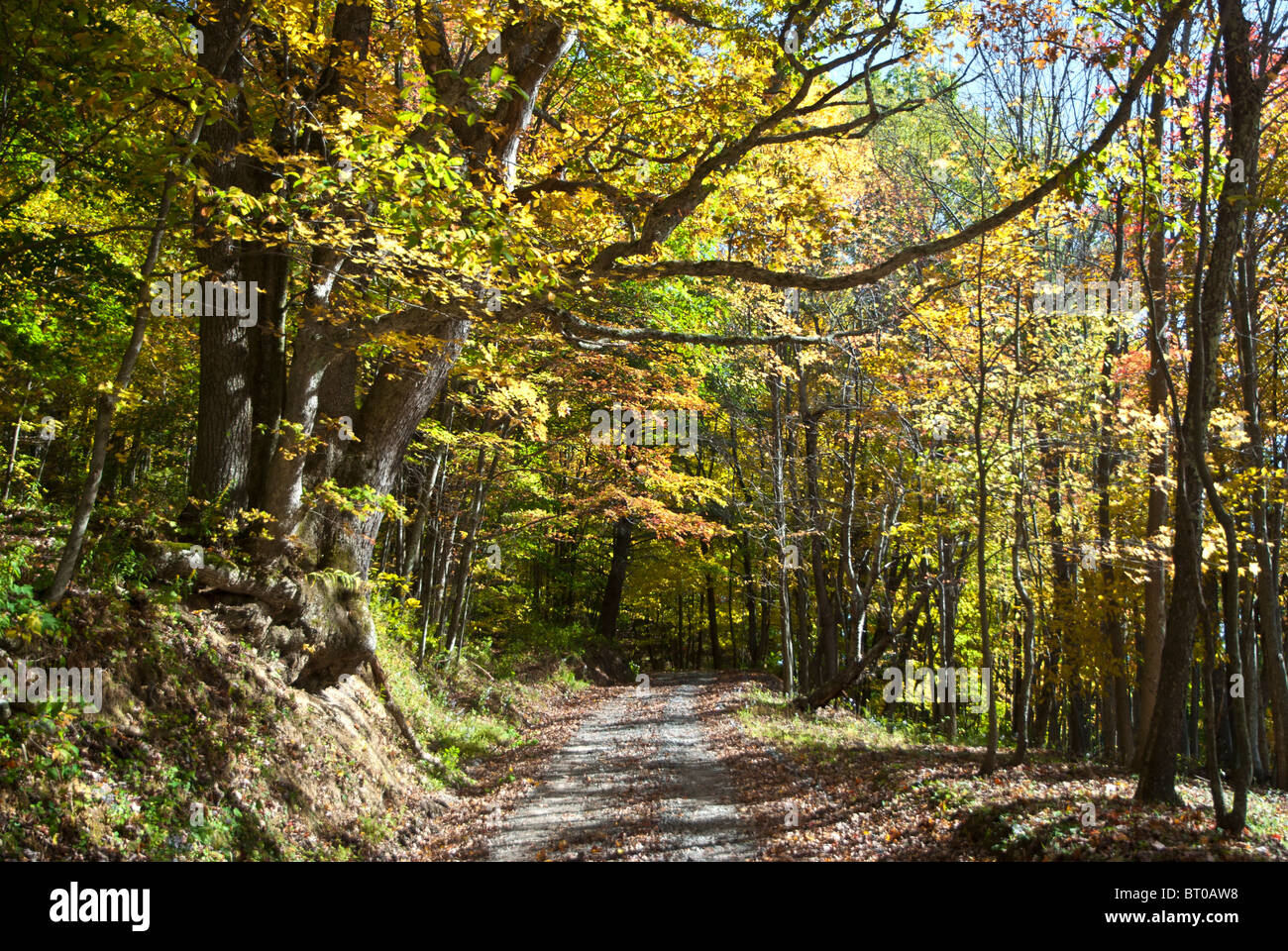 Ruhiger Herbst Nachmittag in West Virginia Stockfoto